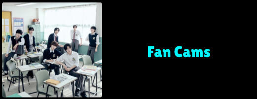 Fan Cams