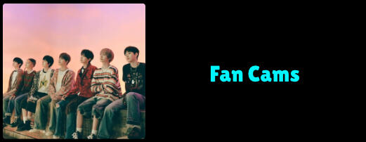 Fan Cams