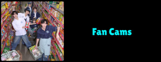 Fan Cams