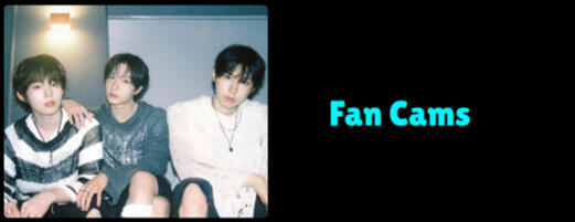 Fan Cams