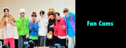 Fan Cams